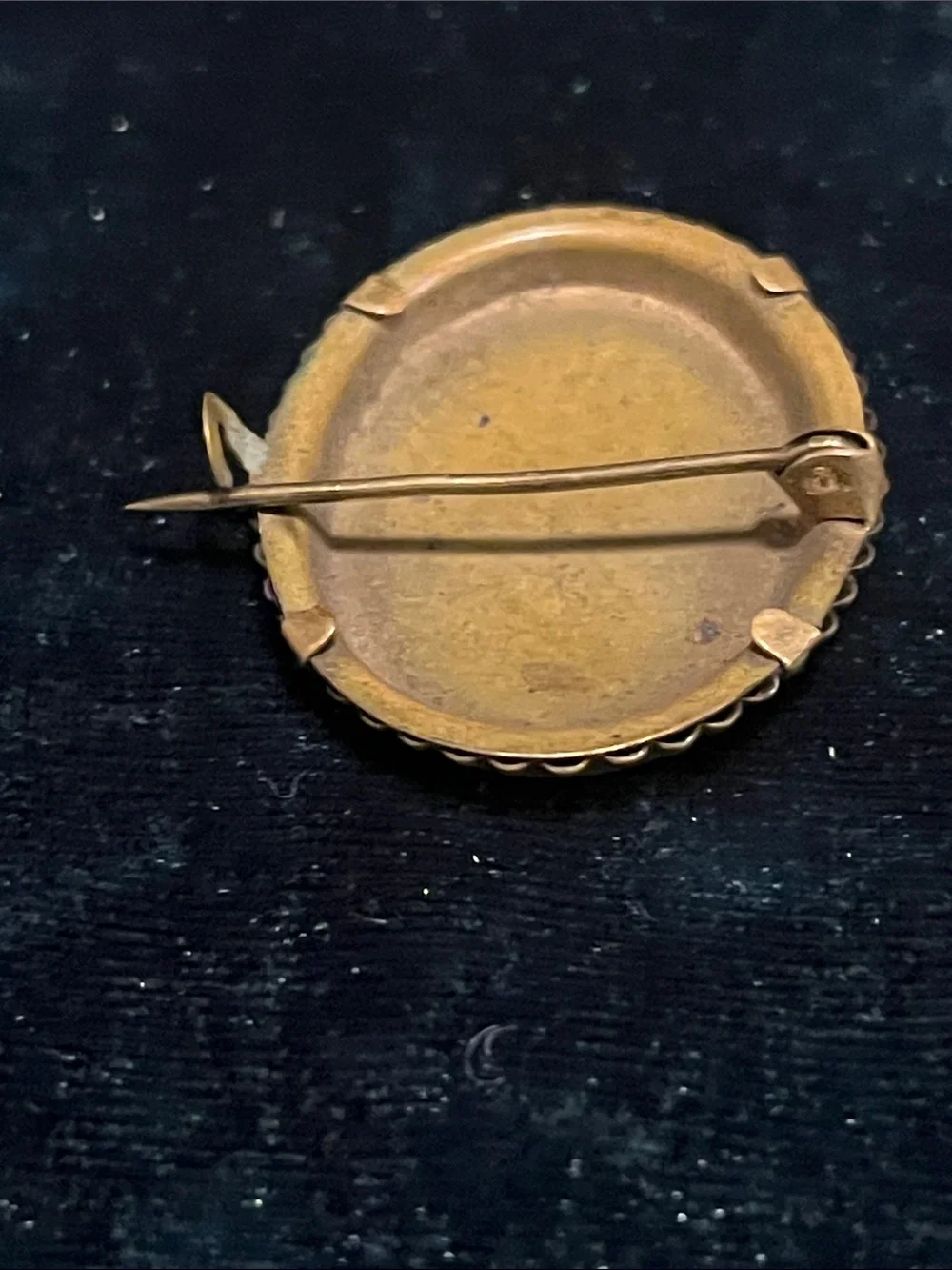Antique Victorian Sepia Portrait Brooch Pin Estate Jewelry c. 1890–1910